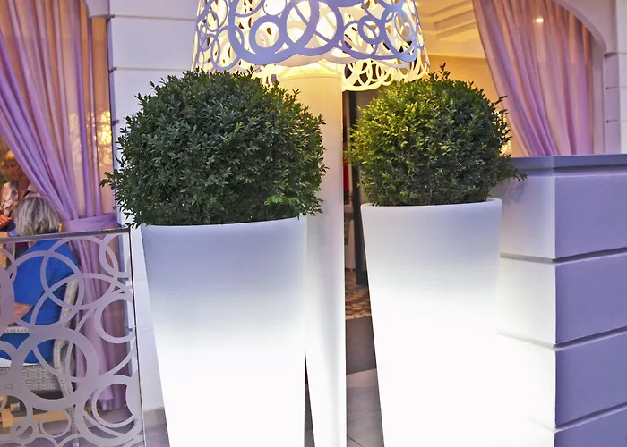 帕乌拉别墅酒店 3* 里米尼